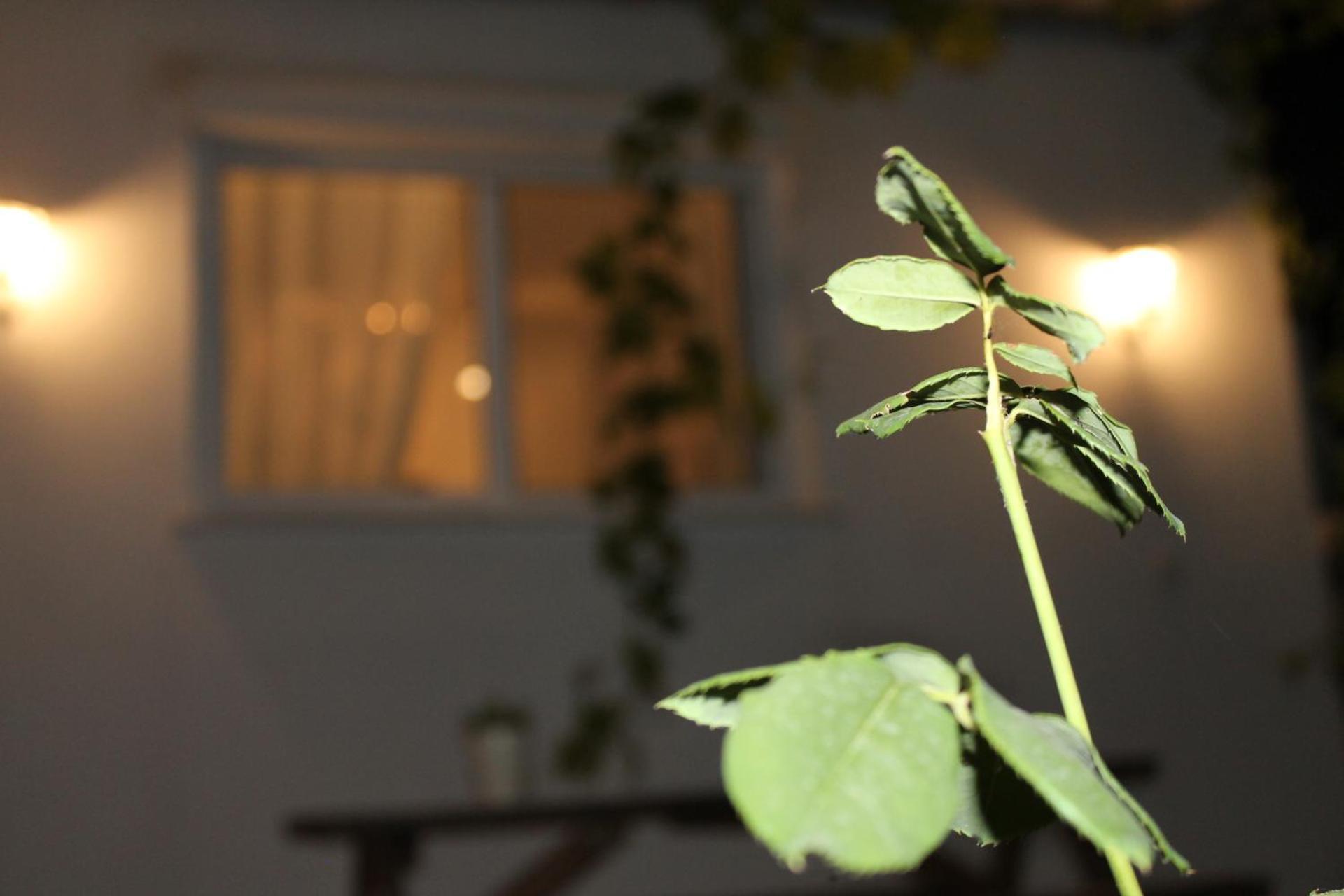 Ηώς Apartment Thassos Eksteriør bilde